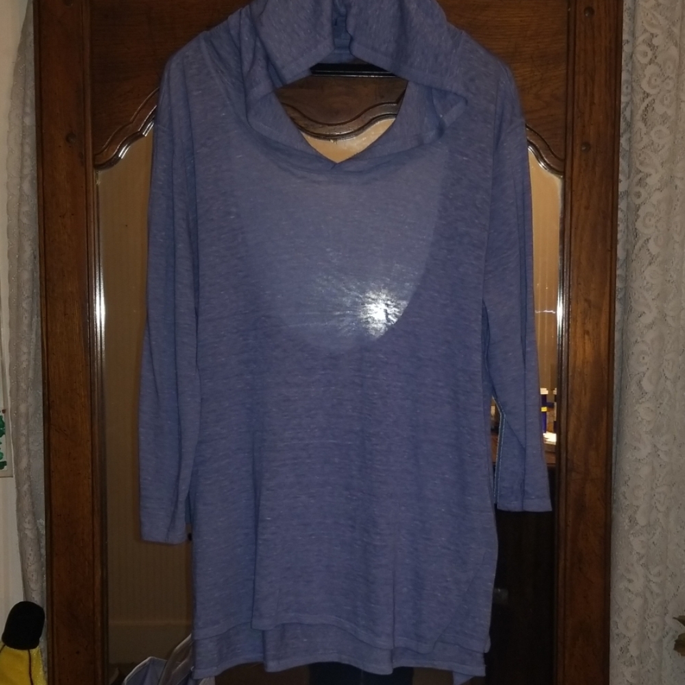 Lucky Lotus low back sheer hoodie